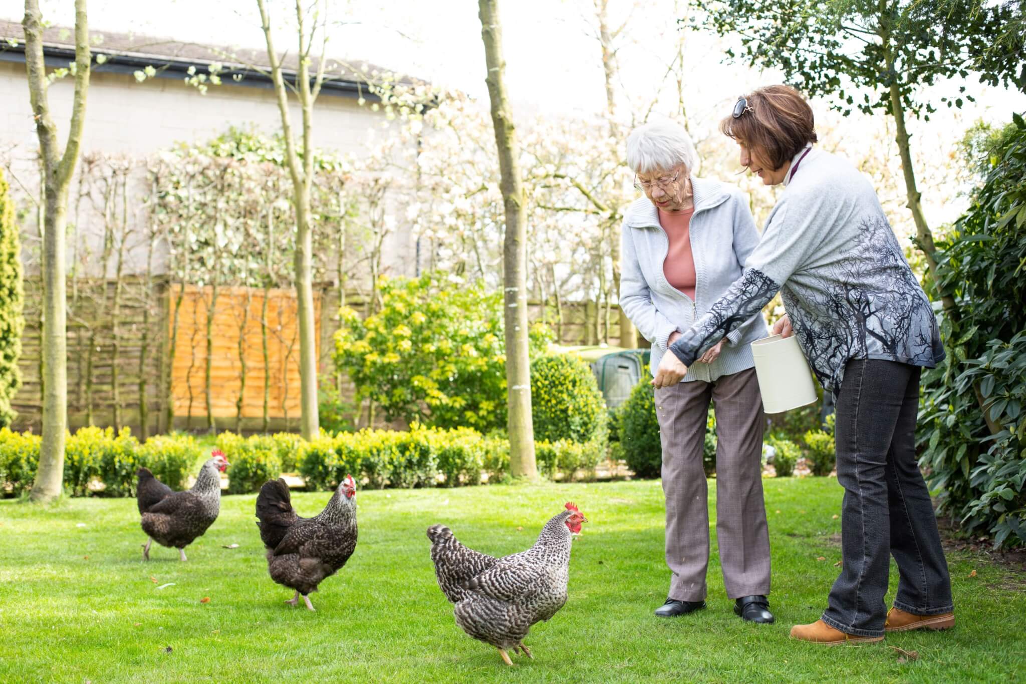 Two women feeding chickens in a backyard garden with trees and a hedge in the background. - Home Instead