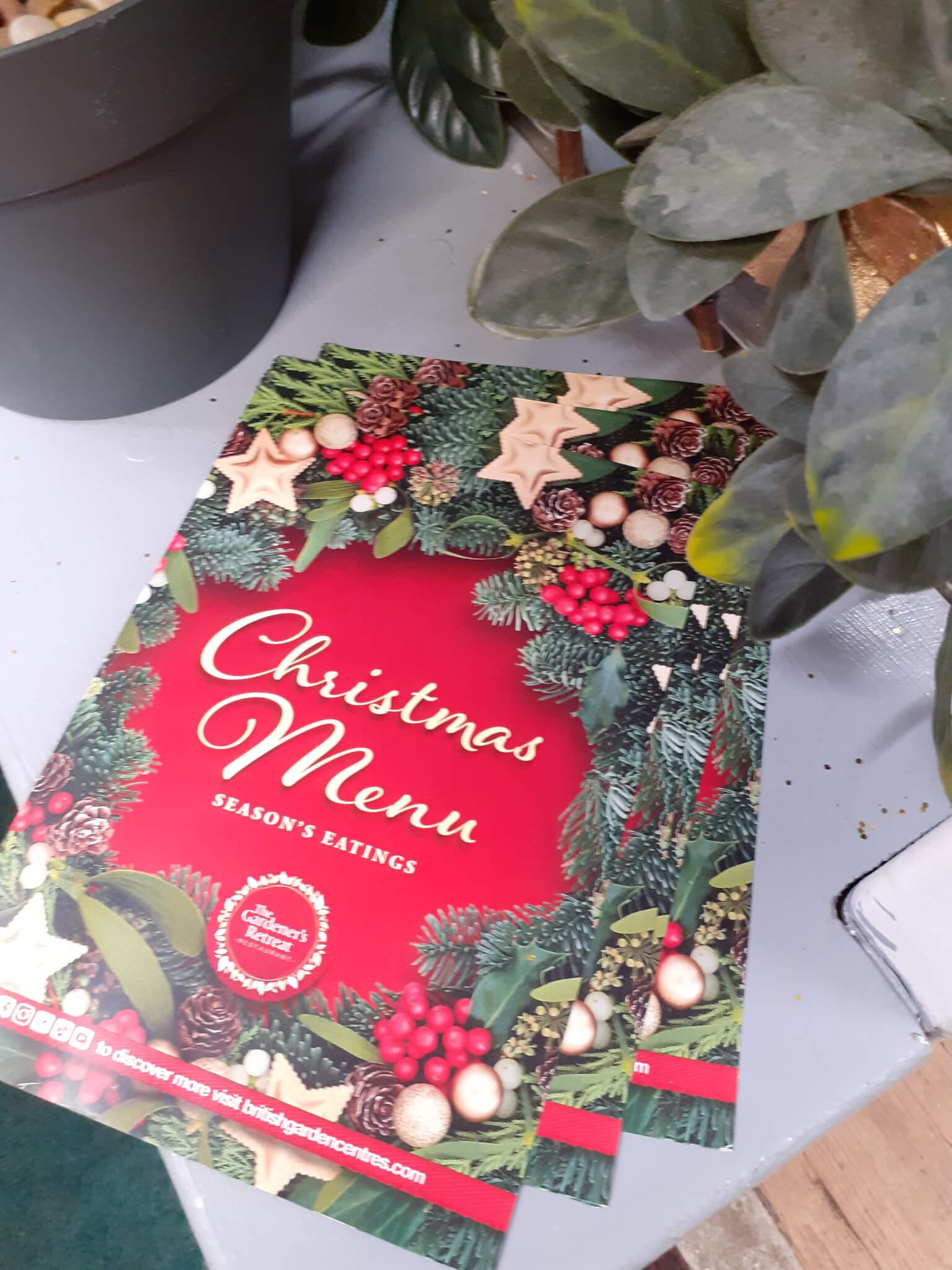 A Festive Outing to Irton Garden Centre with The Hub Newby