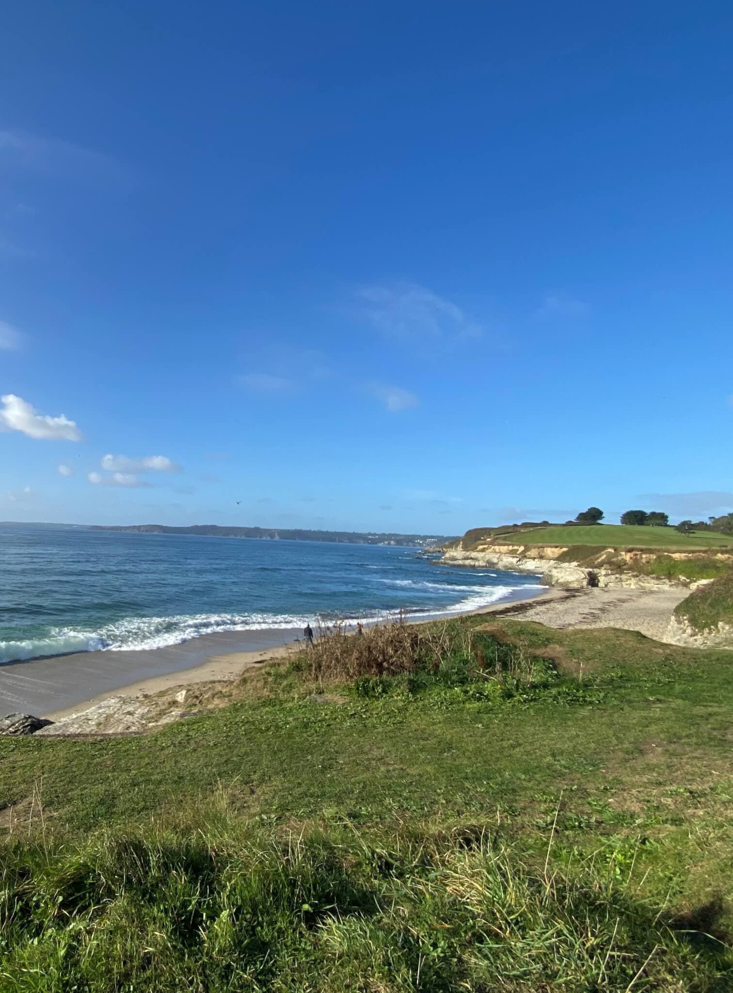 Coastal view with grassy cliffs, sandy beach, and calm ocean waves under a clear blue sky. - Home Instead