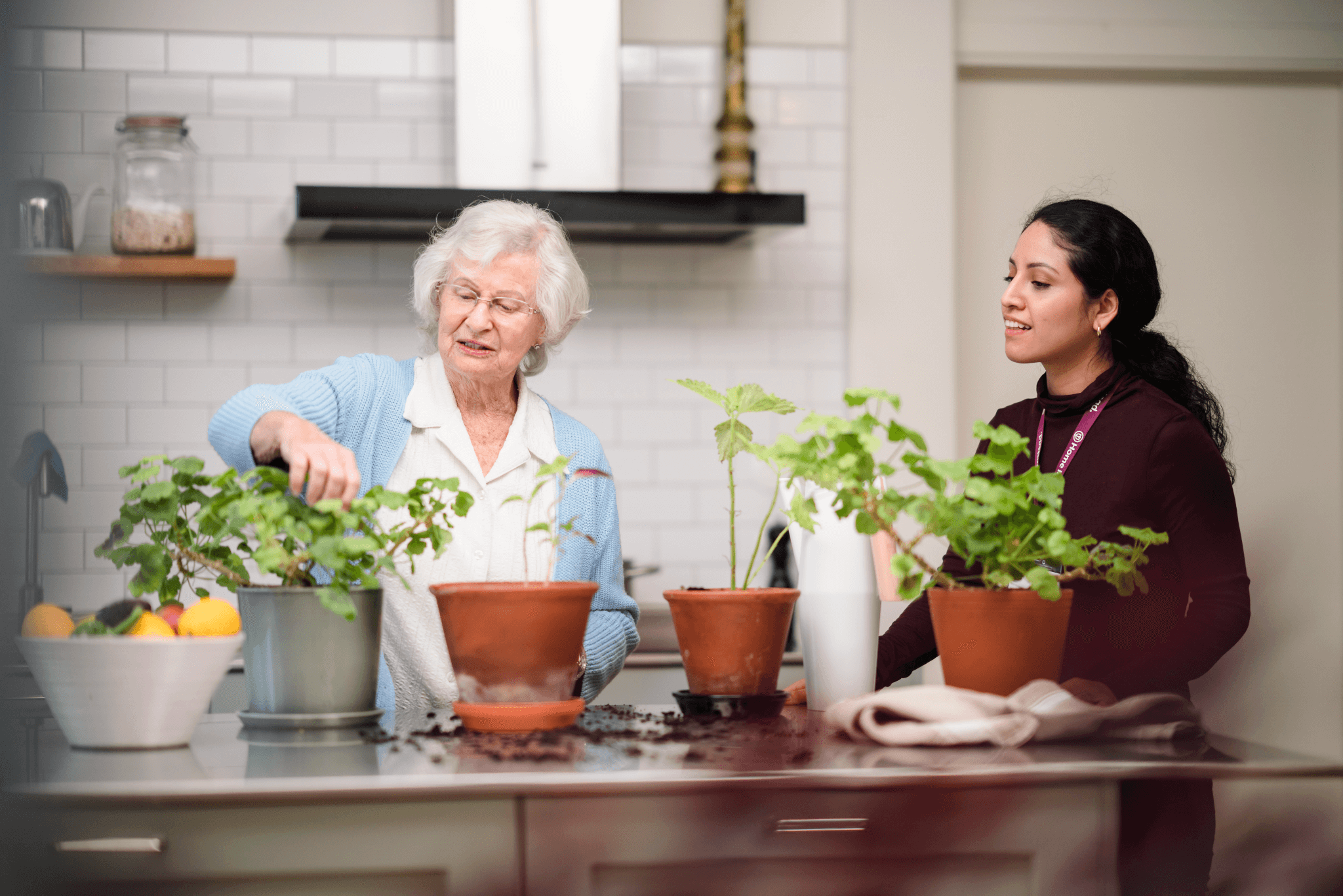 Two women gardening indoors, one elderly and one younger, both tending to potted plants on a kitchen counter. - Home Instead