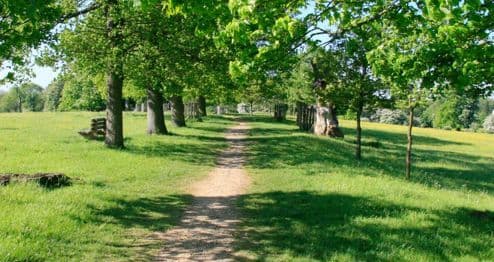 A narrow, dirt path winds through a lush, green park lined with trees on a sunny day. - Home Instead