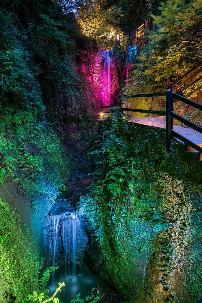 Waterfall cascading down a rocky cliff surrounded by lush greenery, illuminated by colorful lights at night. - Home Instead