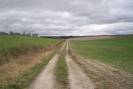 A rural dirt path runs through green and brown fields under a cloudy sky. - Home Instead