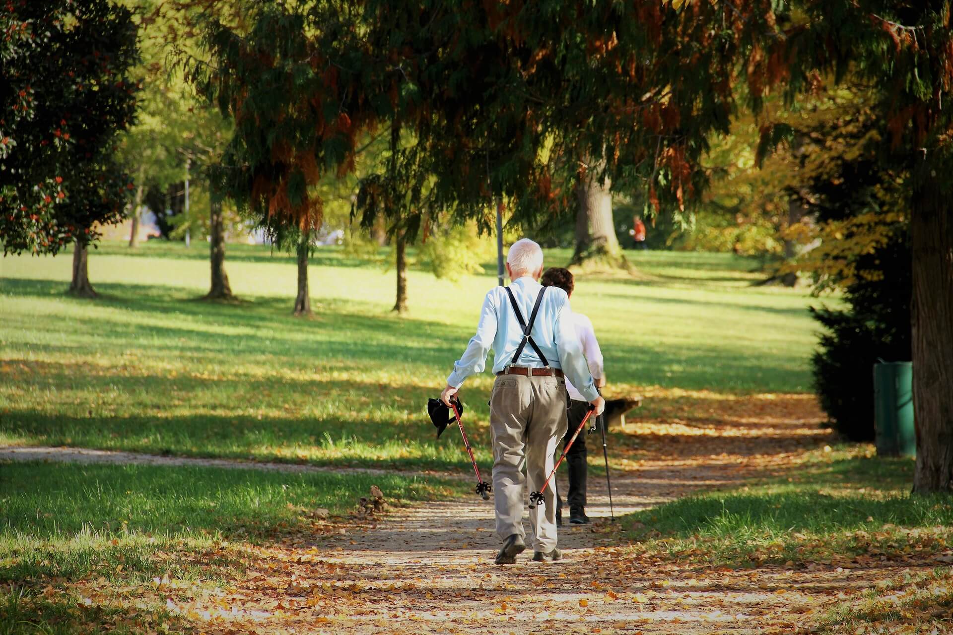 Two elderly individuals walking dogs along a leafy park path on an autumn day. - Home Instead