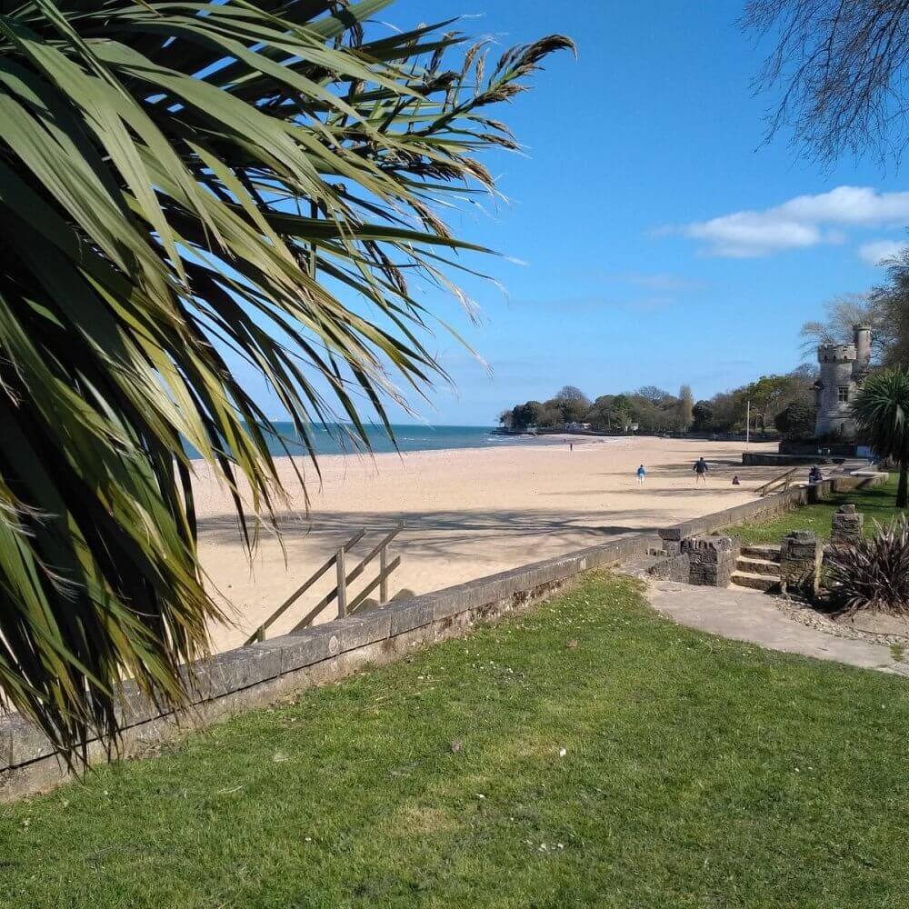 View of a sandy beach with a stone pathway, palm trees, and clear blue sky. People are walking in the distance. - Home Instead