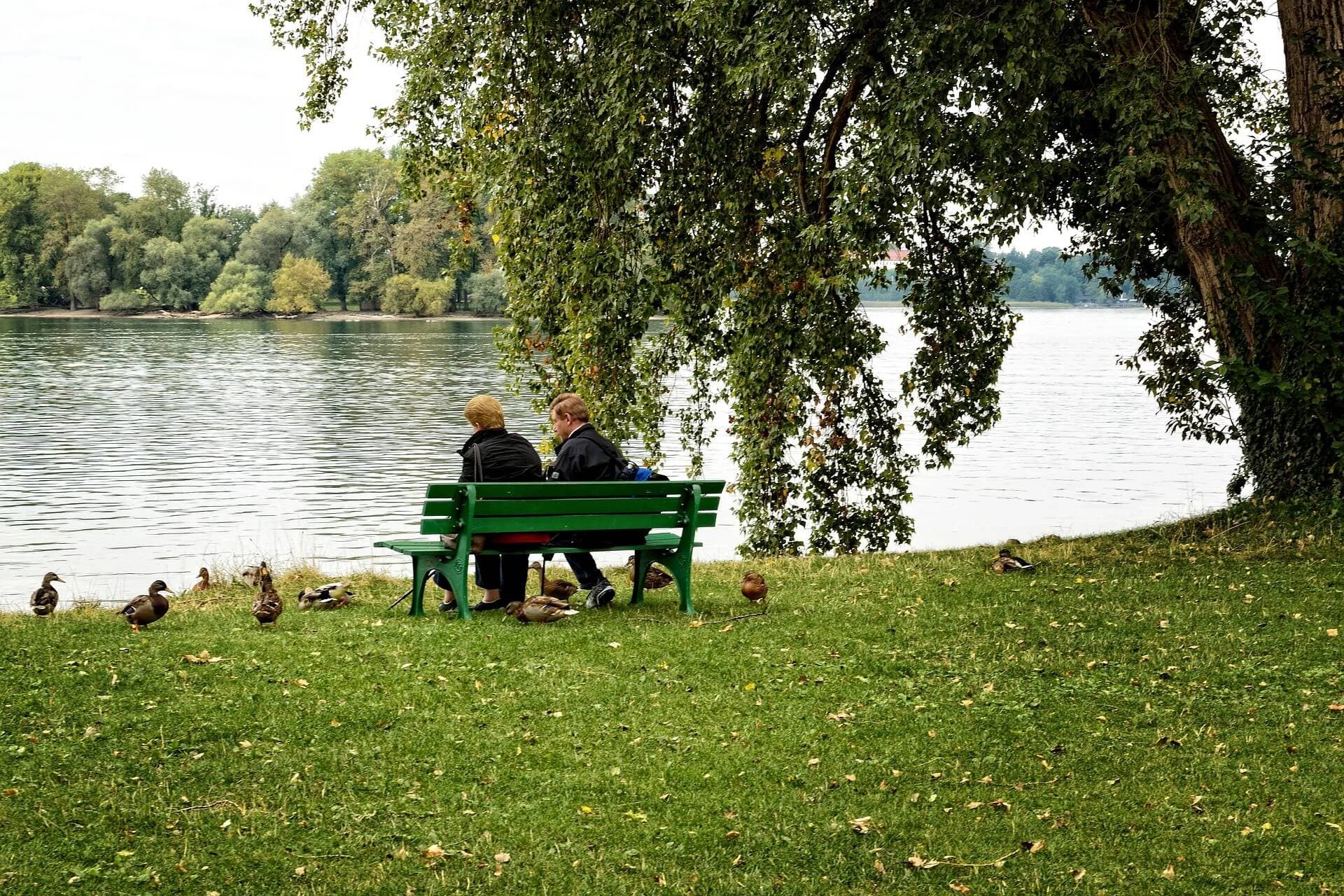 Two people sitting on a green bench by a lake, surrounded by trees and ducks on a grassy area. - Home Instead