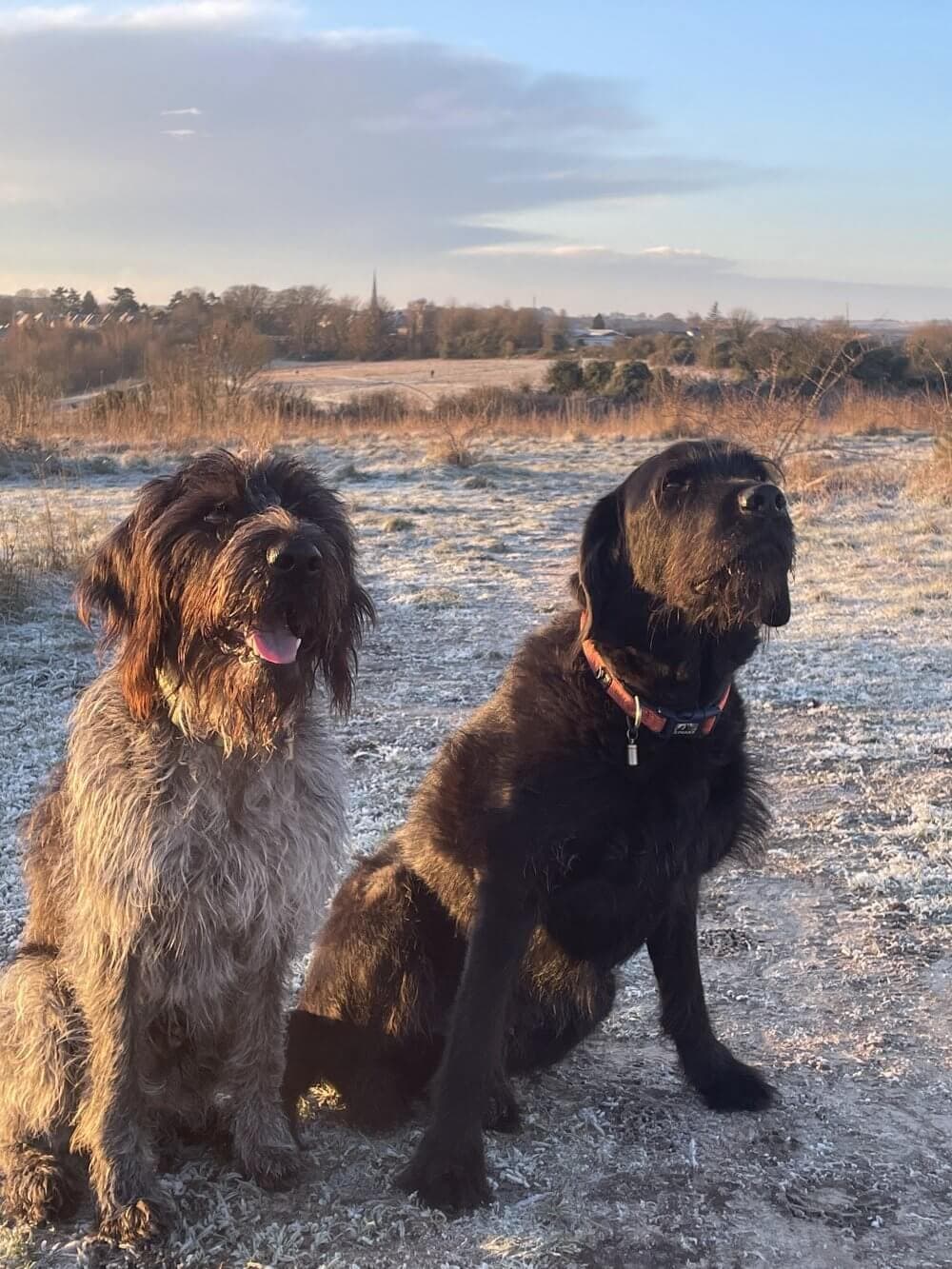 5 Accessible walks in Romsey and Salisbury