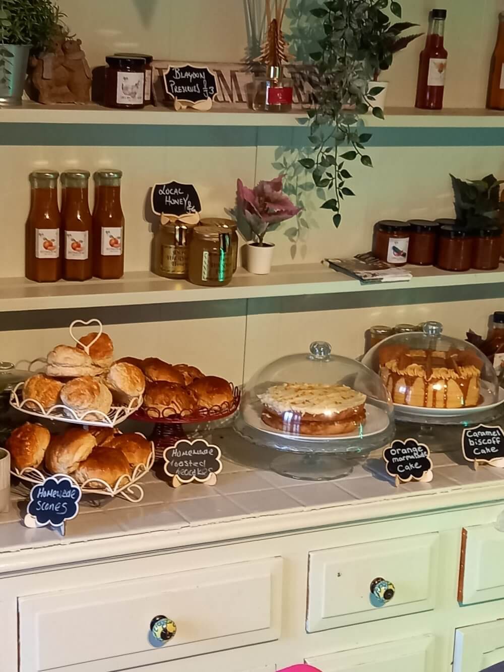 Spotlight on Holsworthy