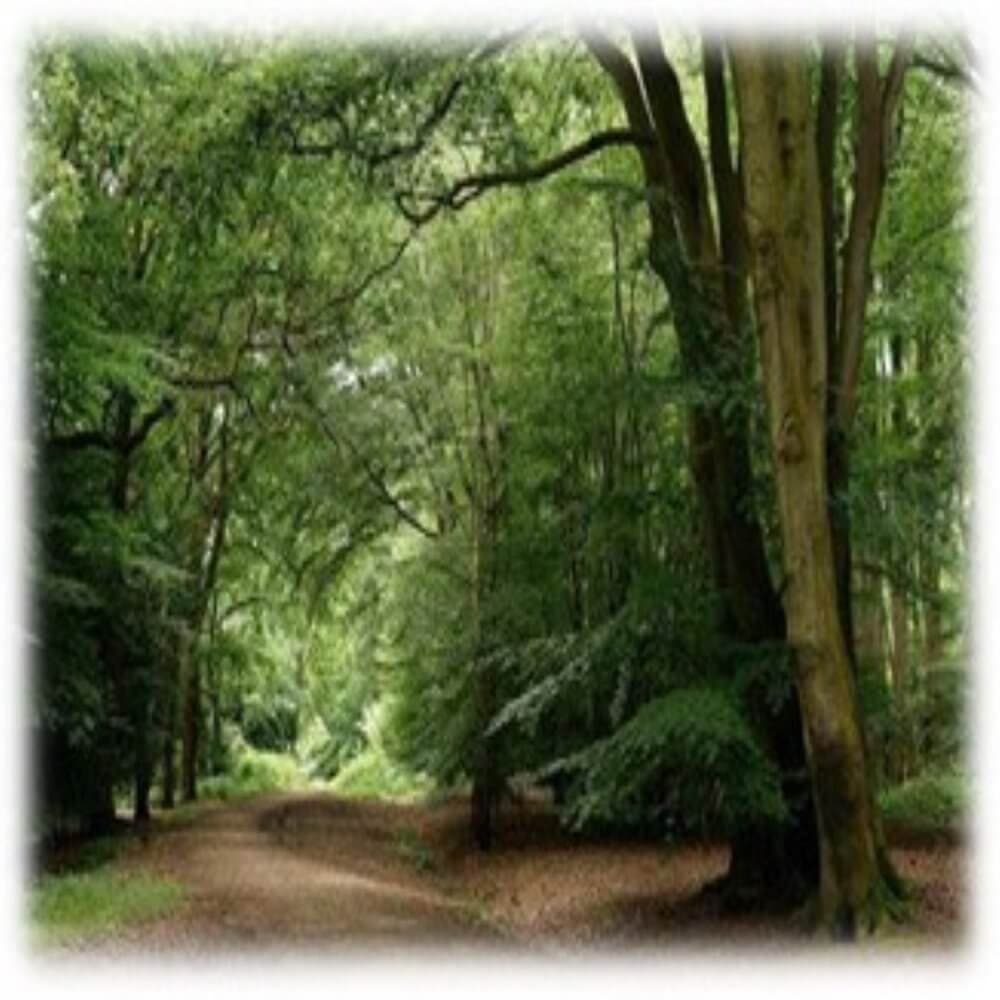 Outdoor Walks in Thurrock