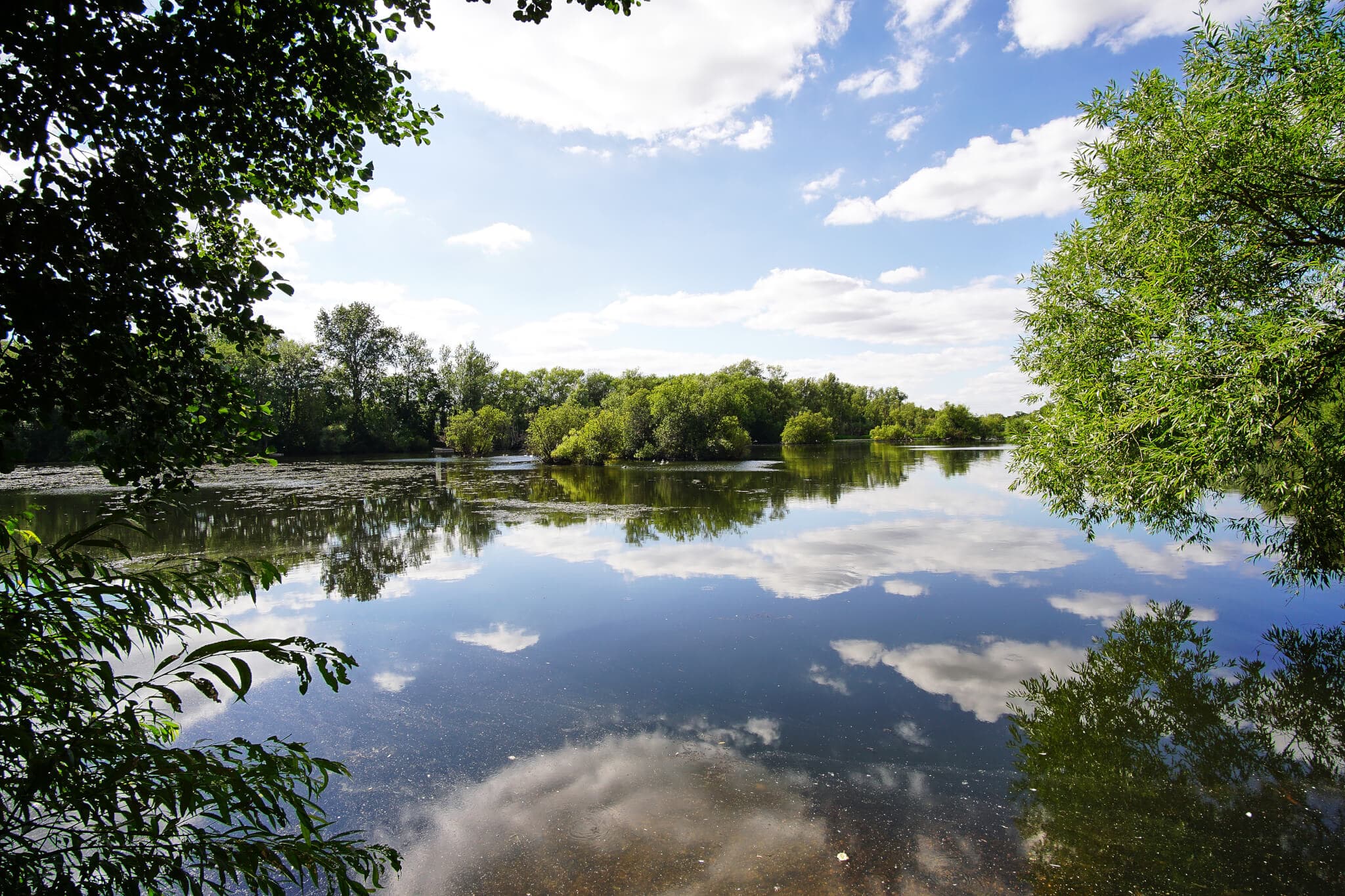 A tranquil lake framed by leafy trees, with blue sky and clouds reflected in the water. - Home Instead