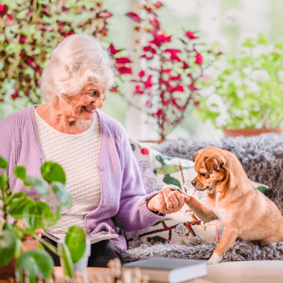 Elderly woman in a lavender cardigan sits on a couch with a small brown dog, holding its paw, surrounded by plants. - Home Instead