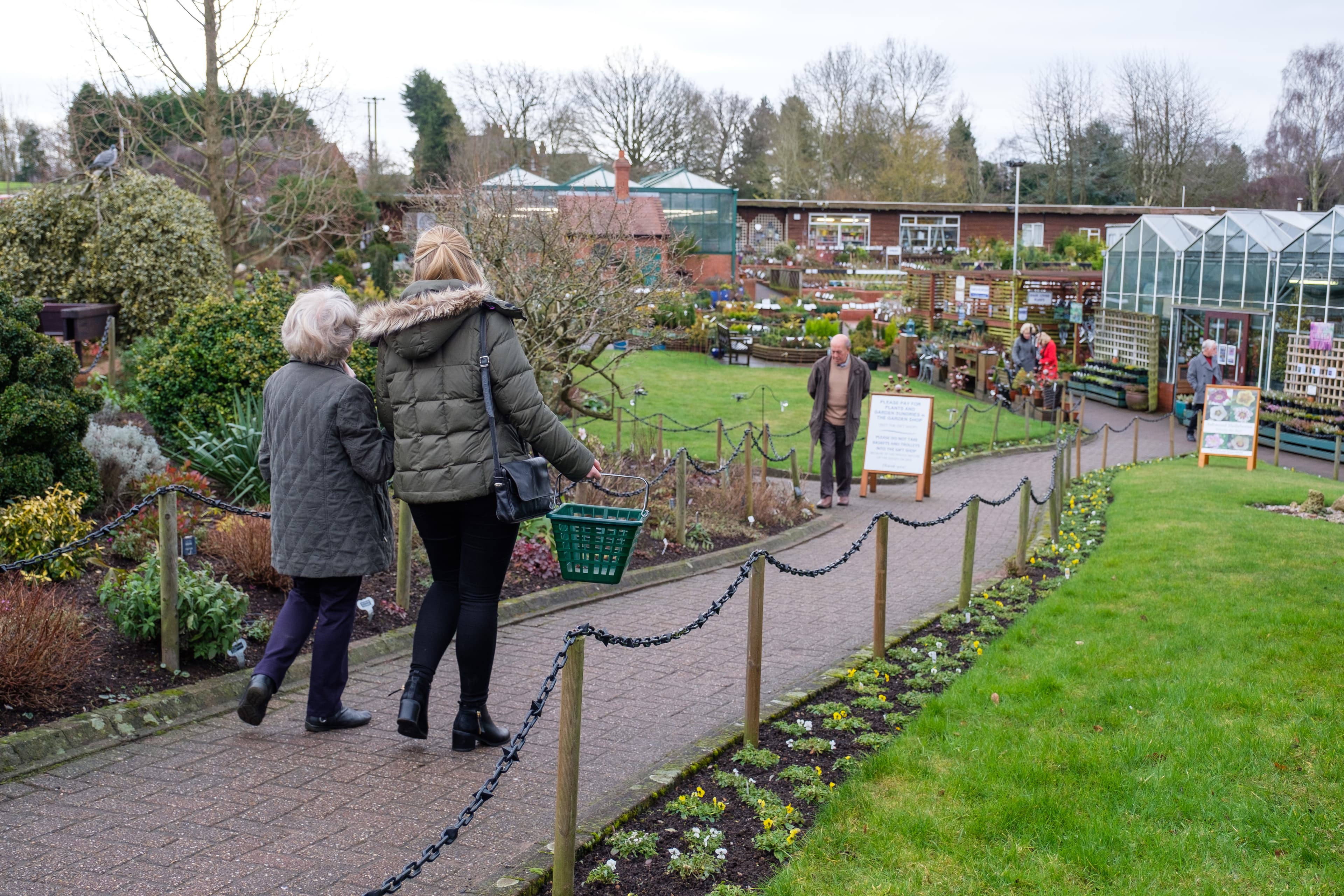 Two women walking arm-in-arm through a garden center with one holding a green shopping basket, surrounded by plants. - Home Instead