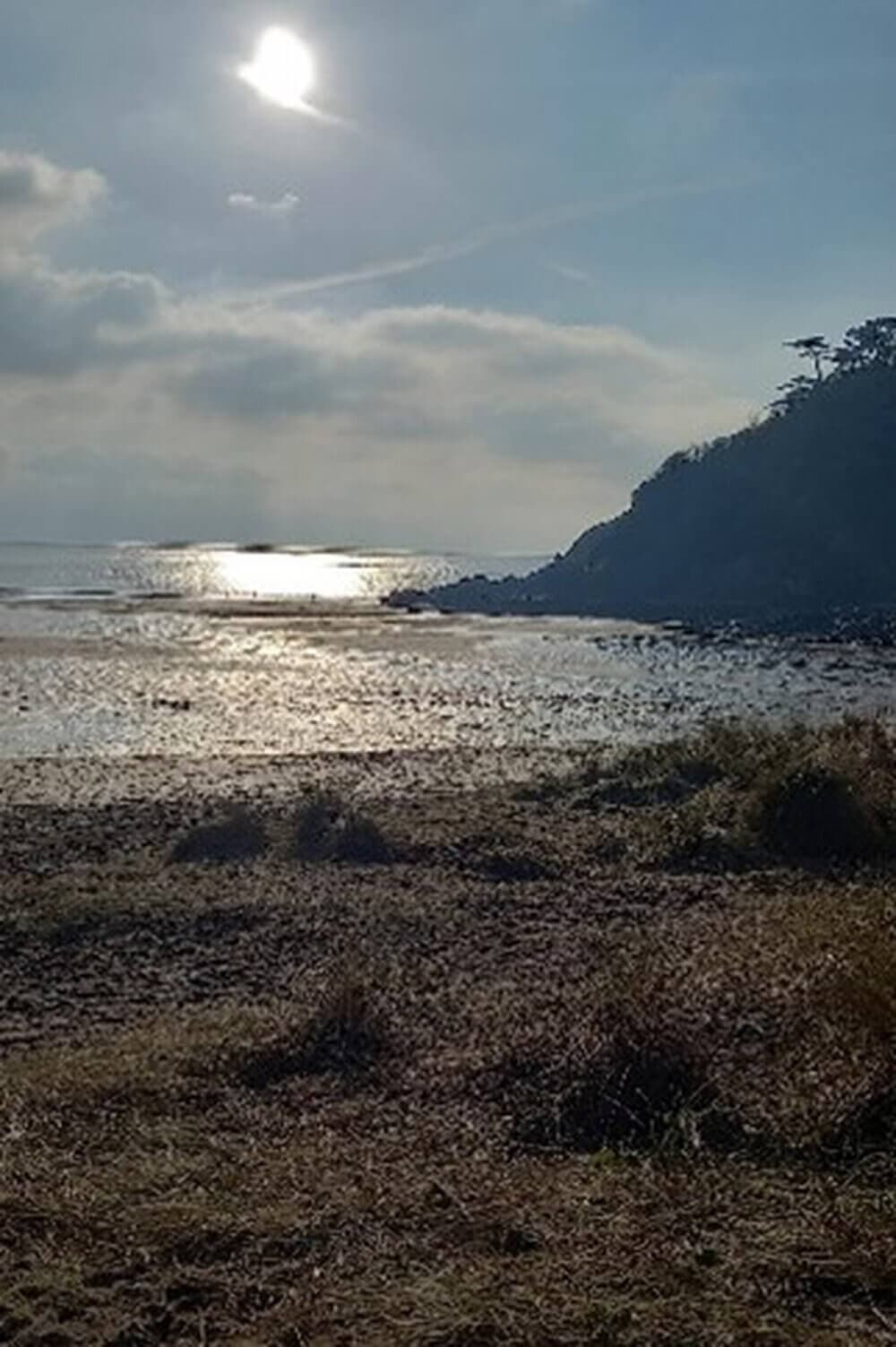 Sun shining over a tranquil sea with a rocky shoreline and grassy beach in the foreground. - Home Instead