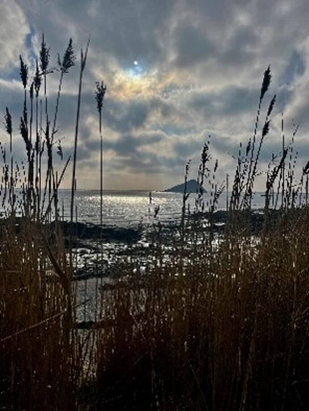 Tall grasses in the foreground with a silhouetted figure near the shore, a cloudy sky, and the sun peeking through. - Home Instead