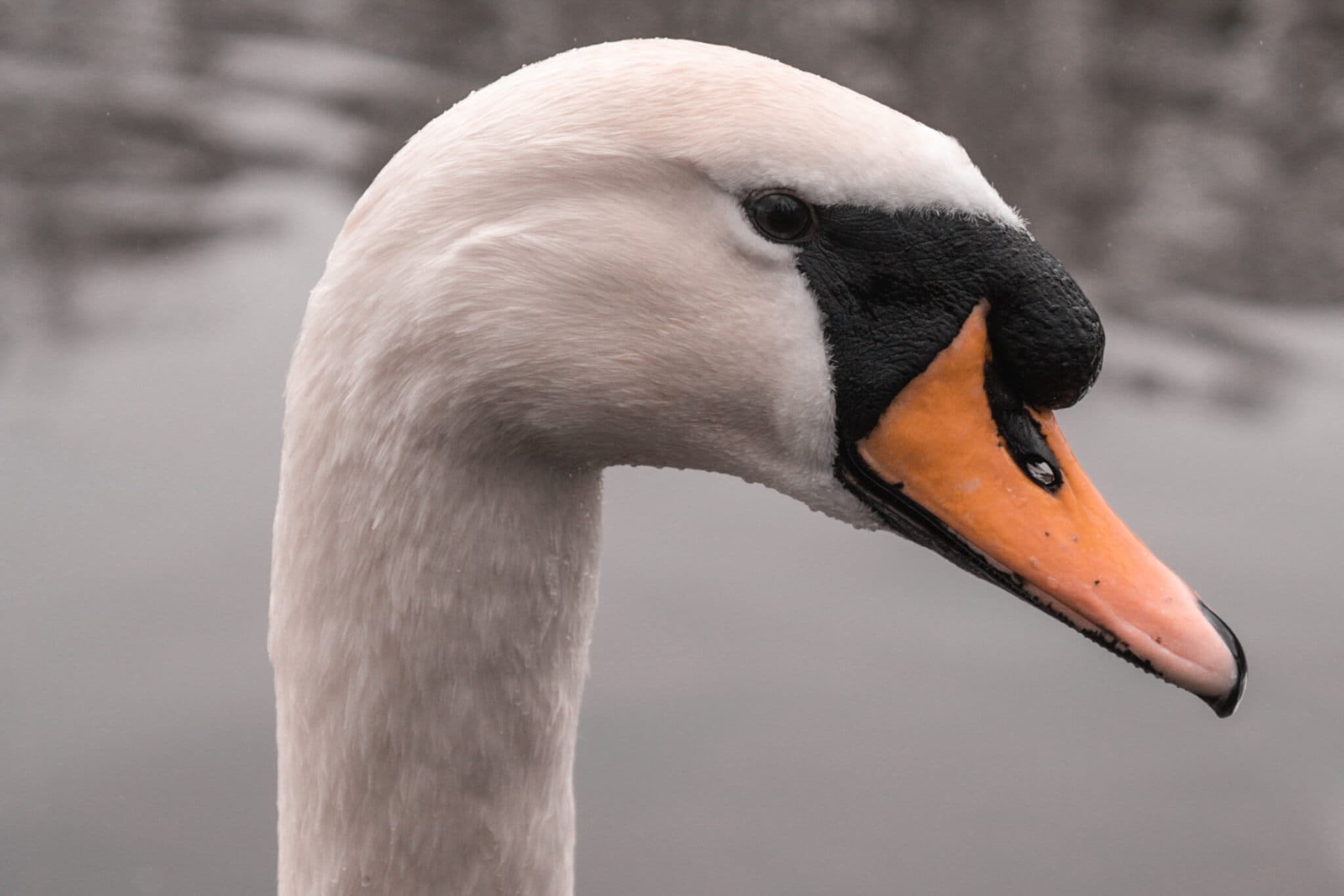 Monday 24th July WoW