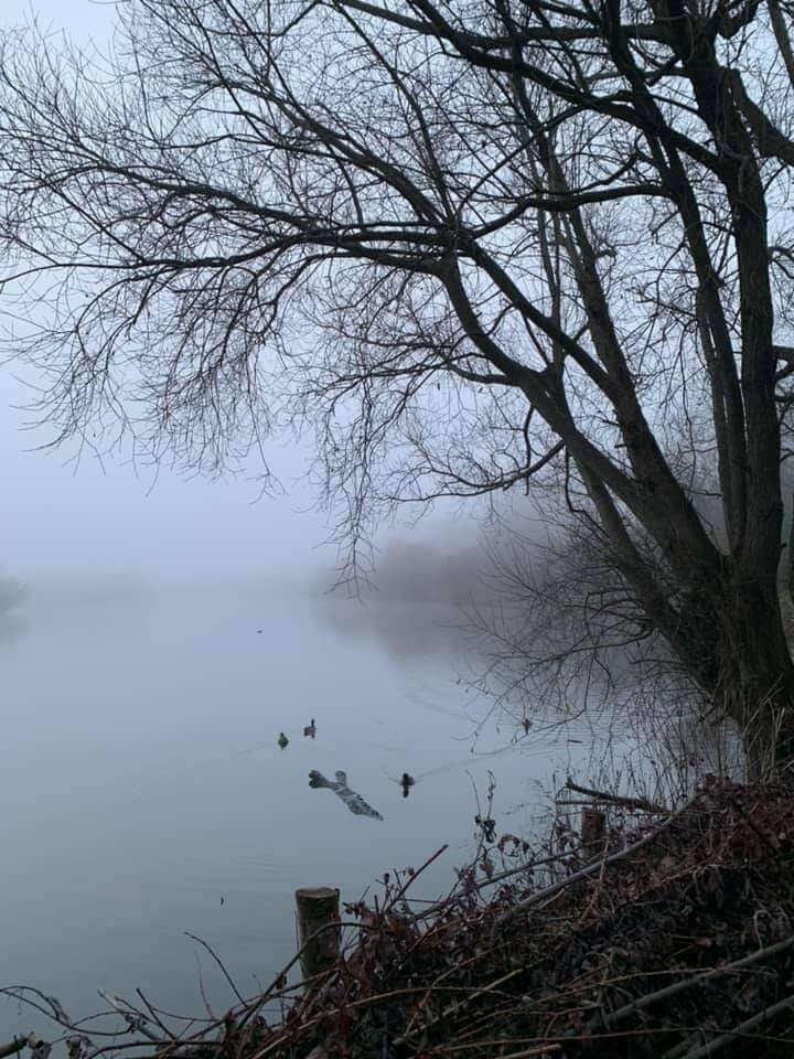 Parks and Countryside near us.