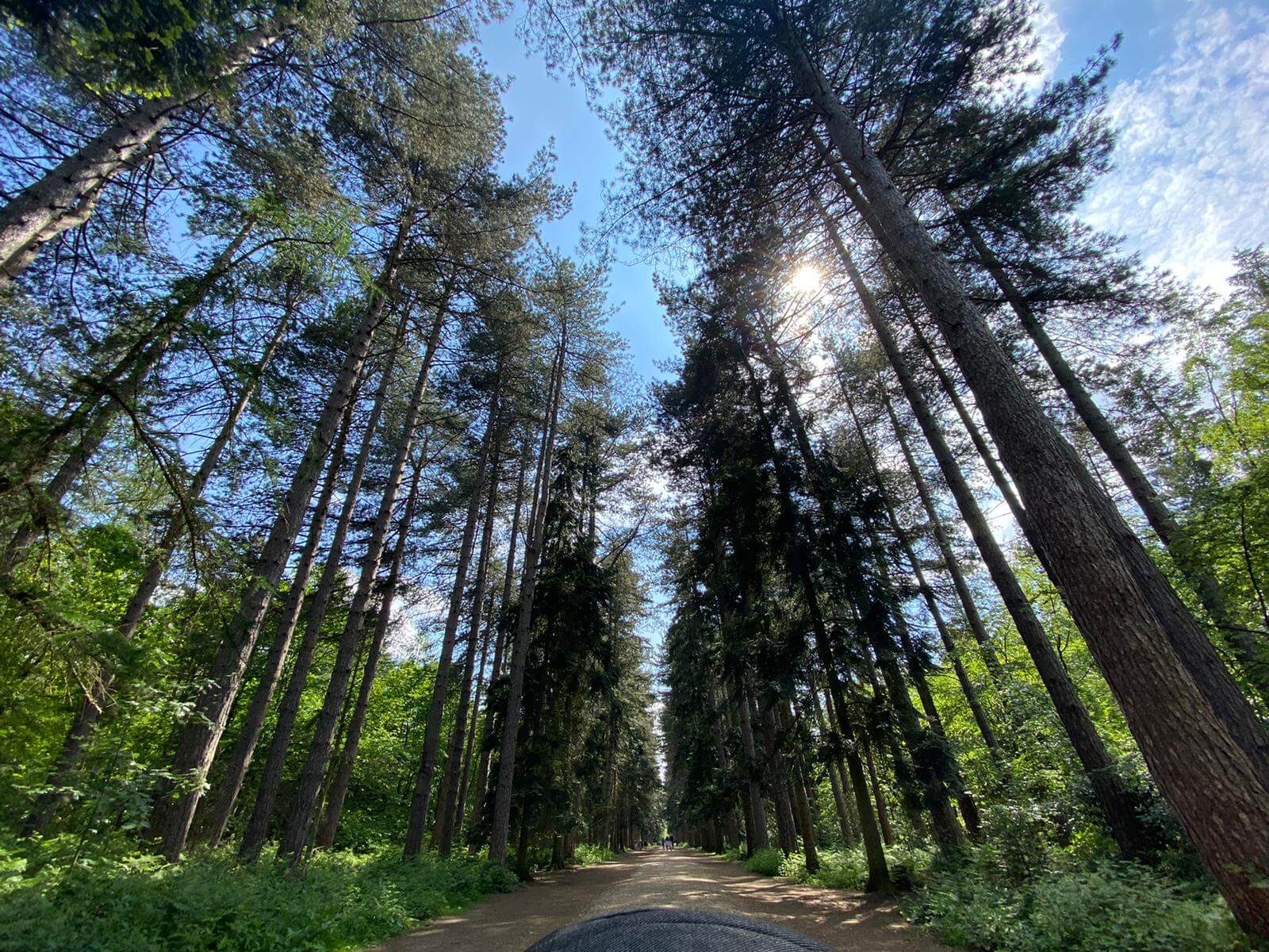 Best Local Parks and Gardens 