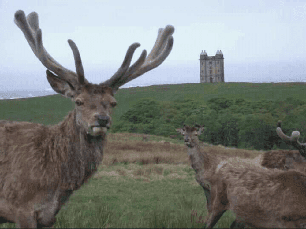 5 Places for Outdoor Walks