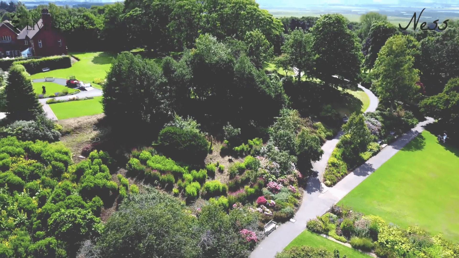 Aerial view of a lush green park with trees, shrubs, a winding pathway, and distant houses. - Home Instead