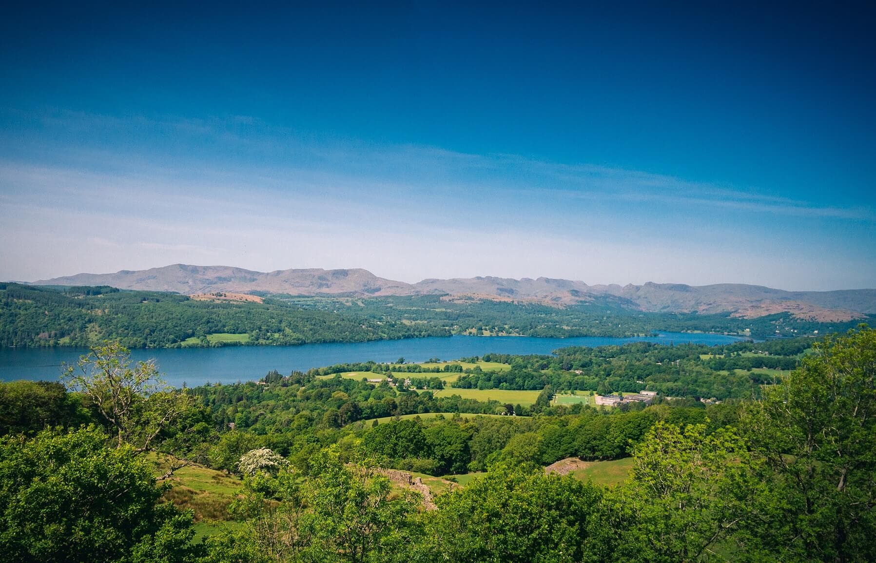 A scenic view of a lake surrounded by green fields and trees, with mountains visible in the background under a clear sky. - Home Instead