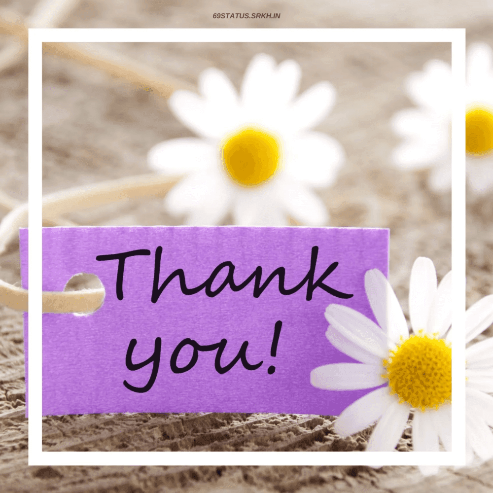 Purple "Thank you!" tag on twine, surrounded by white daisies with yellow centers within a white rectangular frame. - Home Instead