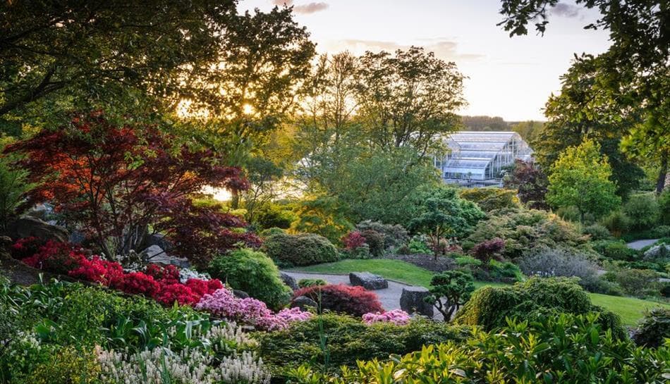 Places to visit in surrey