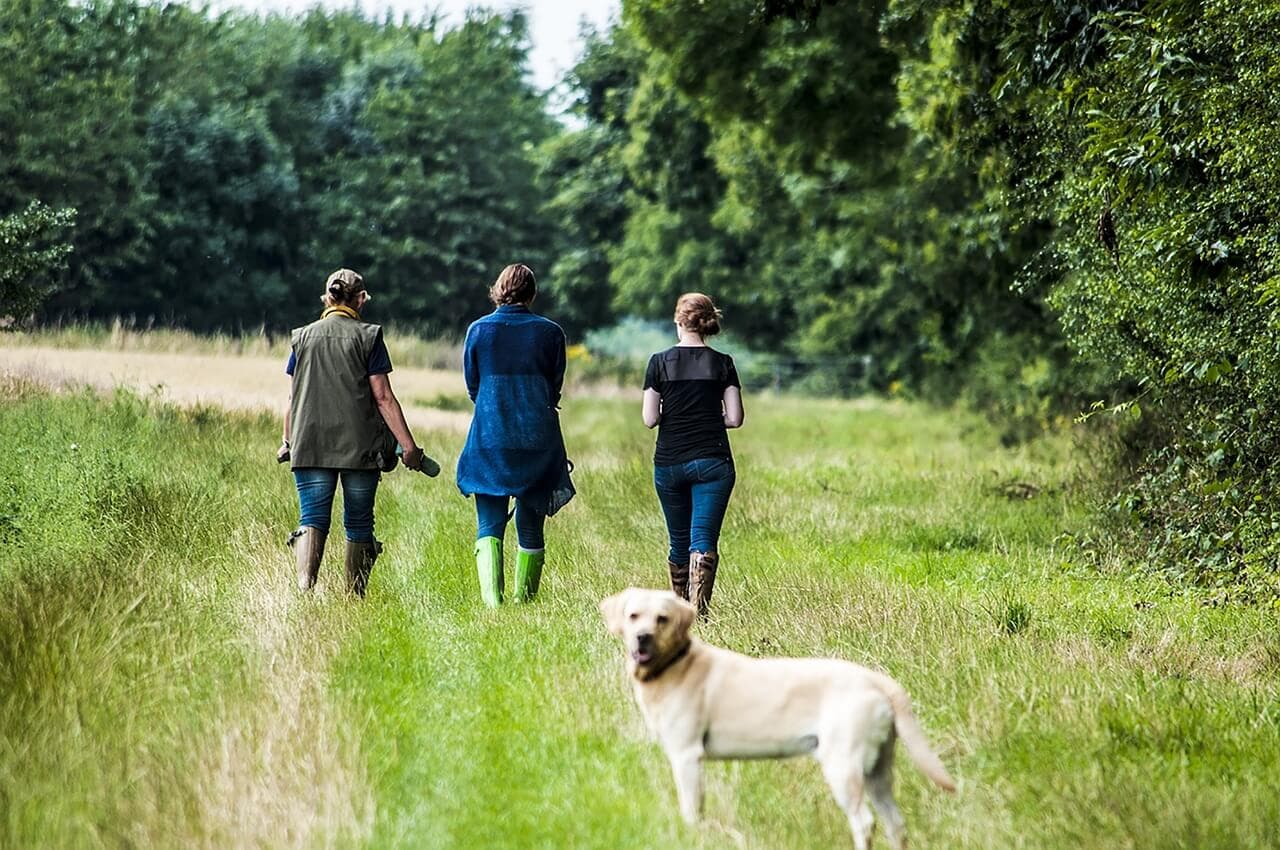 Three people walking down a grassy path with a dog looking back towards the camera, surrounded by green trees. - Home Instead