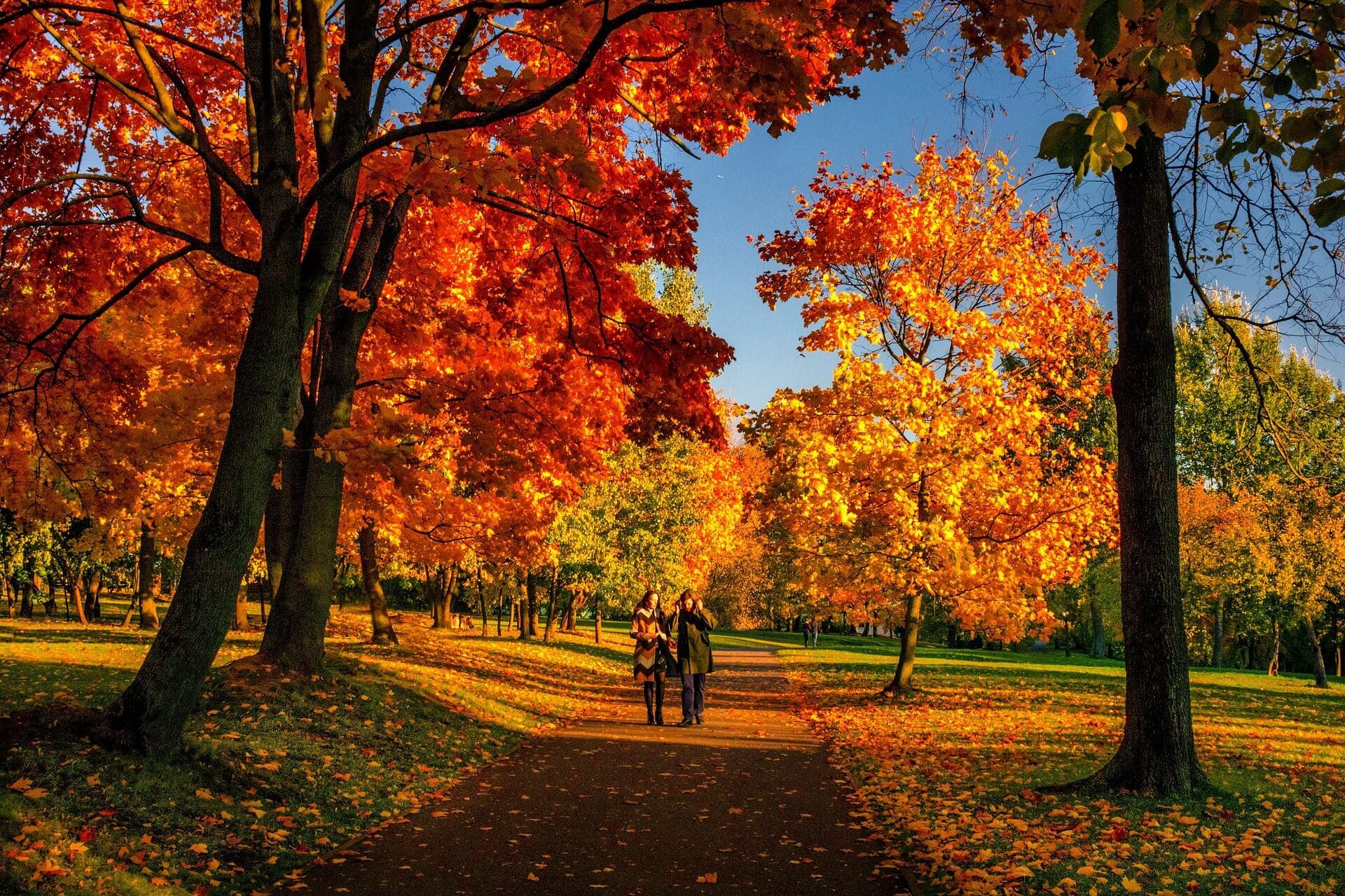 Two people walk on a path through a park with vibrant autumn foliage bathed in sunlight. - Home Instead