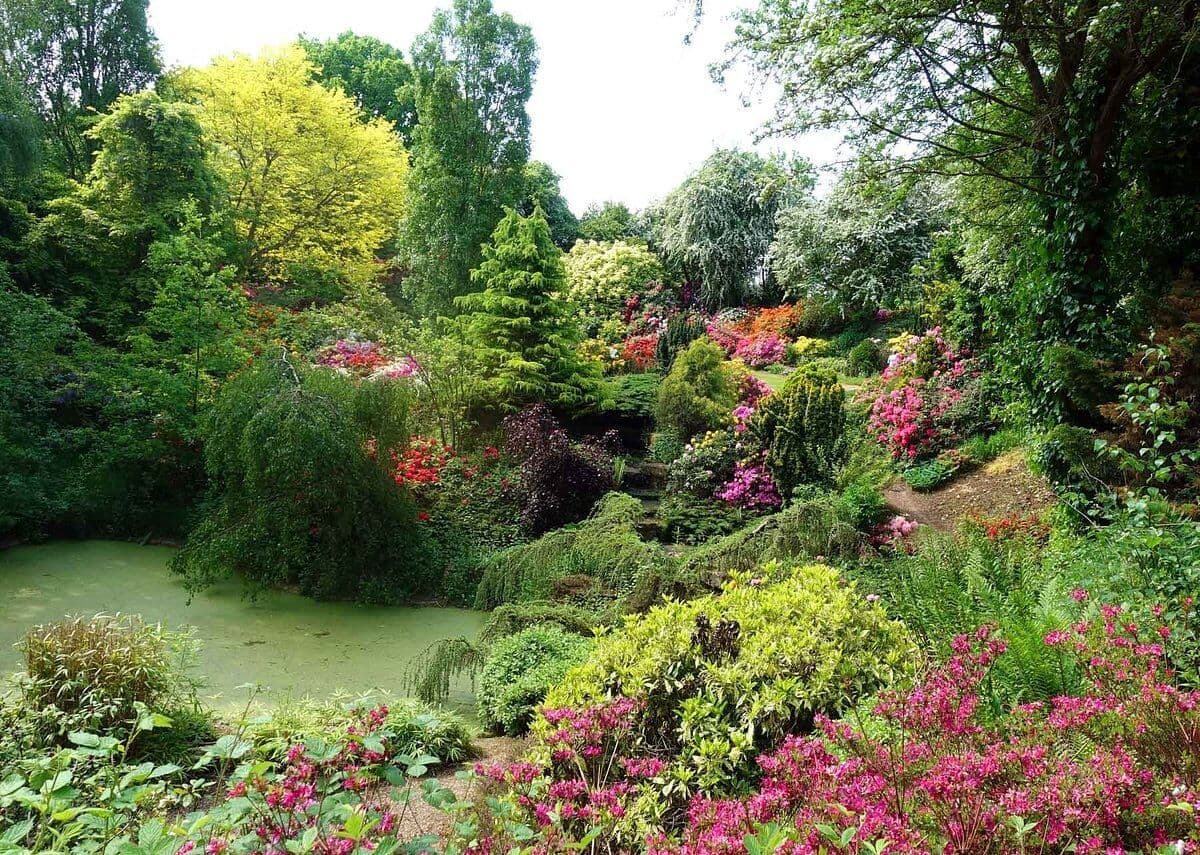 Garden Centres To Visit In & Near Coventry 