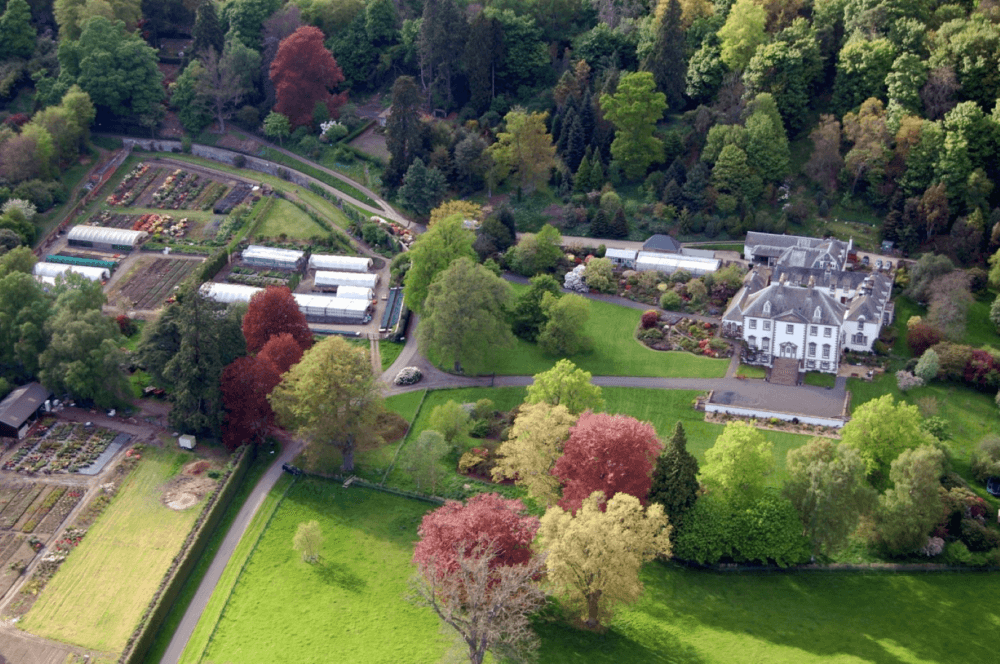 Aerial view of a large estate with a mansion, manicured gardens, greenhouses, and surrounding lush greenery. - Home Instead