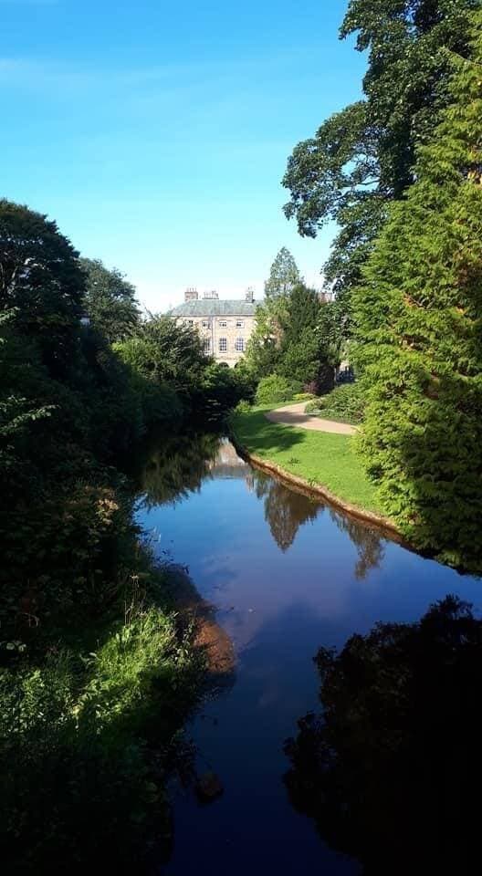 A tranquil river bordered by lush greenery reflects a distant white building under a clear blue sky. - Home Instead