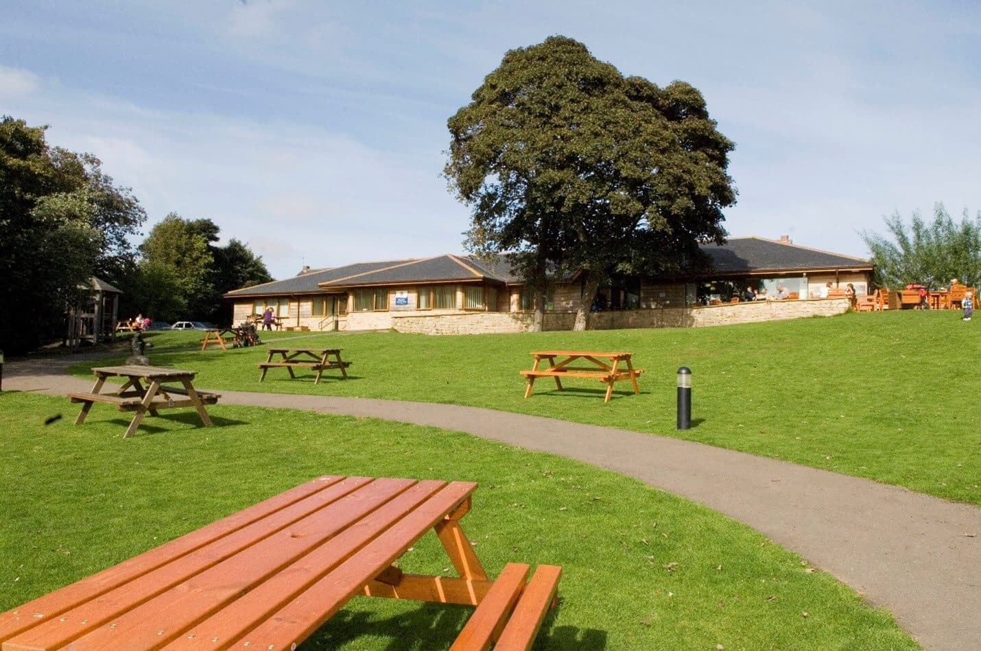 Park with wooden picnic tables, a path, and a large building with a tree in the background on a sunny day. - Home Instead
