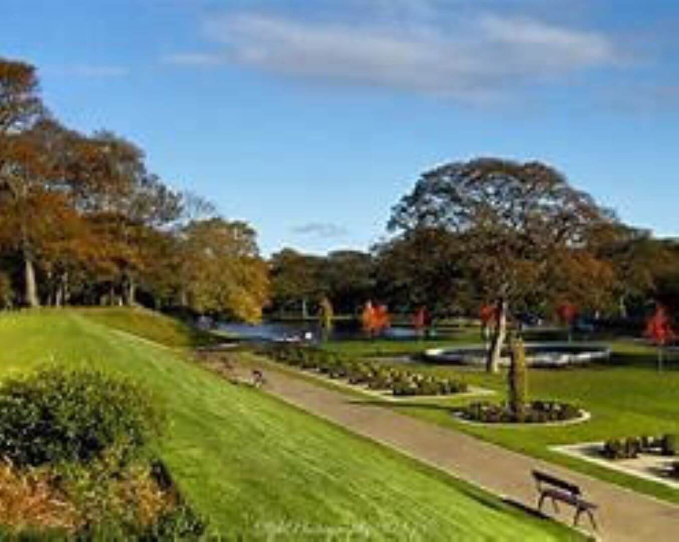 A tranquil park scene with trees, a pond, paths, a bench, and a well-maintained lawn on a sunny day. - Home Instead