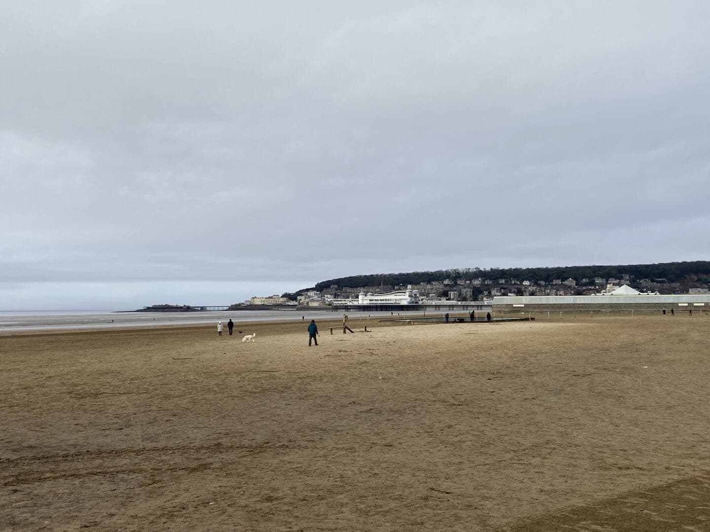 Wide, sandy beach with a few people and dogs, distant town buildings, and a pier extending over the water. Cloudy sky. - Home Instead