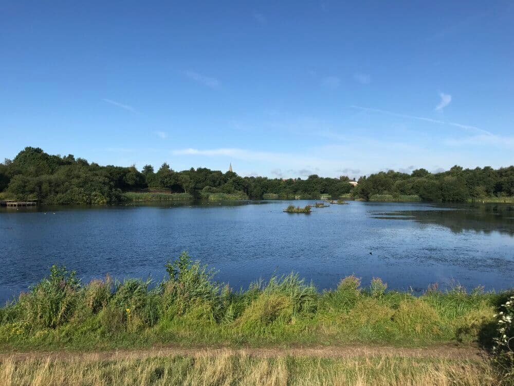 A serene lake with lush greenery, a clear blue sky, and a distant church steeple visible over the treetops. - Home Instead