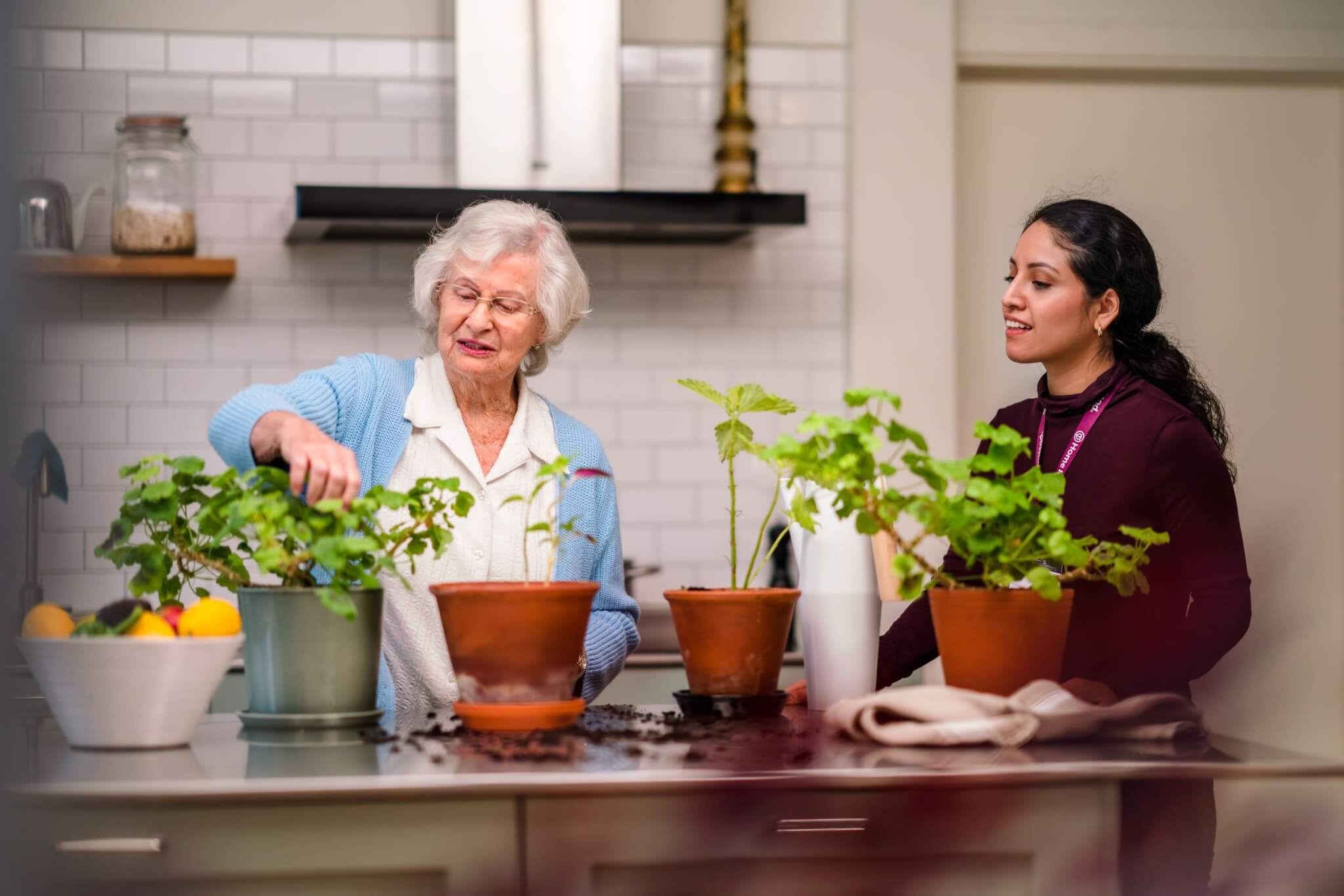 An elderly woman and a younger woman tending to potted plants together in a kitchen. - Home Instead