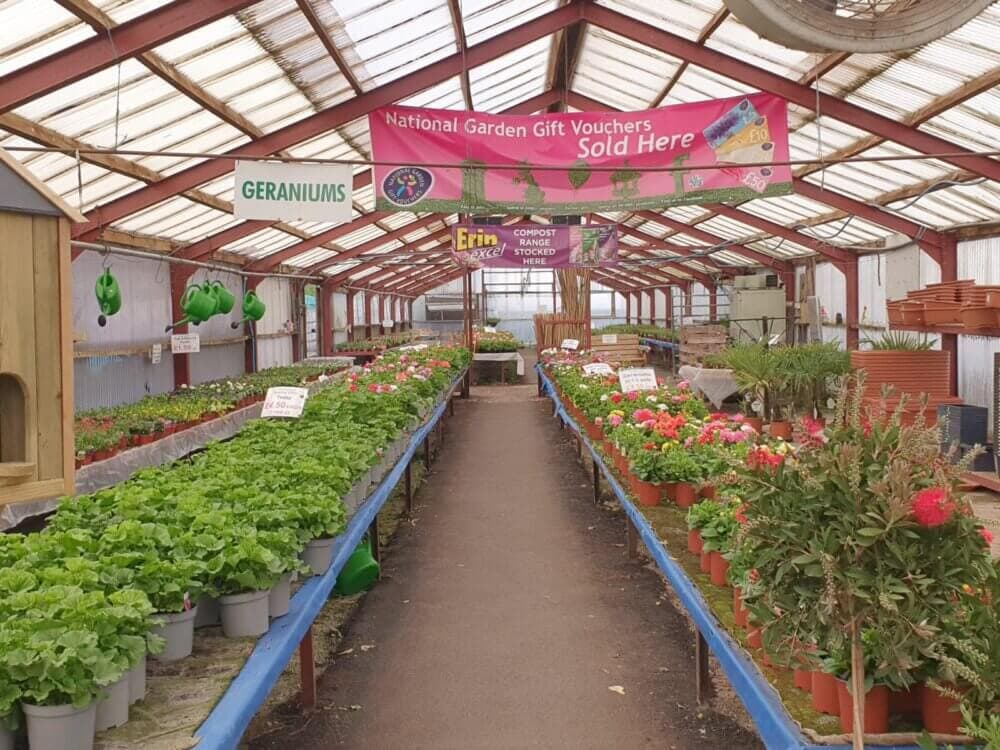 A greenhouse aisle with potted plants, a sign for National Garden Gift Vouchers, and shelves stocked with gardening supplies. - Home Instead