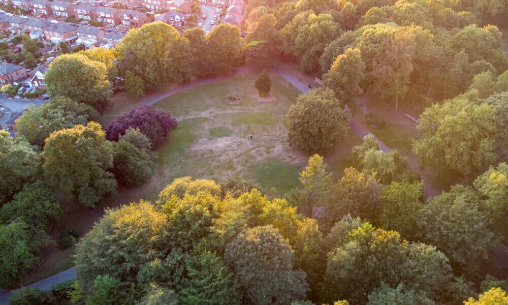 Aerial view of a lush green park surrounded by trees, with houses visible in the background, under a warm sunset light. - Home Instead