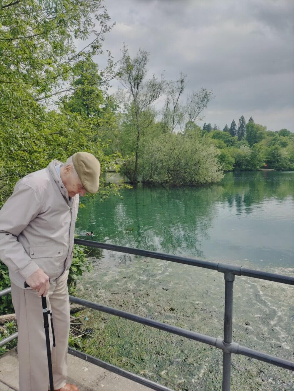 Feed the ducks – in East Hampshire and Midhurst