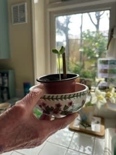 Activities our clients have been enjoying