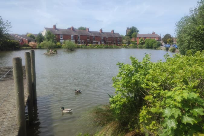 Where to feed the ducks in Wrexham