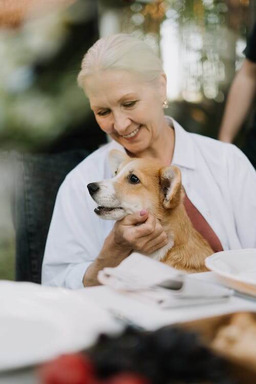 A smiling elderly woman in a white shirt holds a brown and white dog on her lap at an outdoor setting. - Home Instead