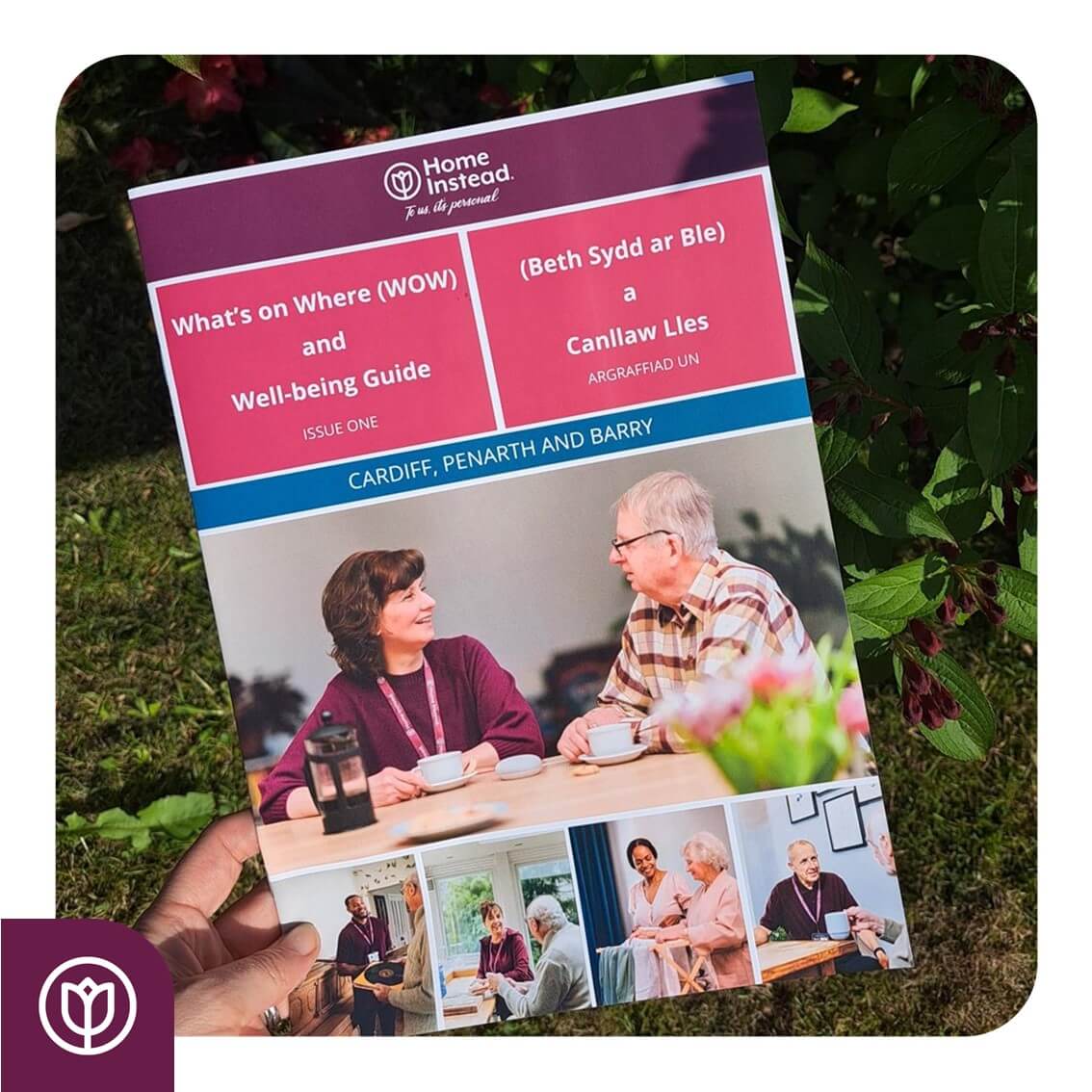 A hand holding a "What's on Where (WOW) and Well-being Guide" for Cardiff, Penarth, and Barry. - Home Instead