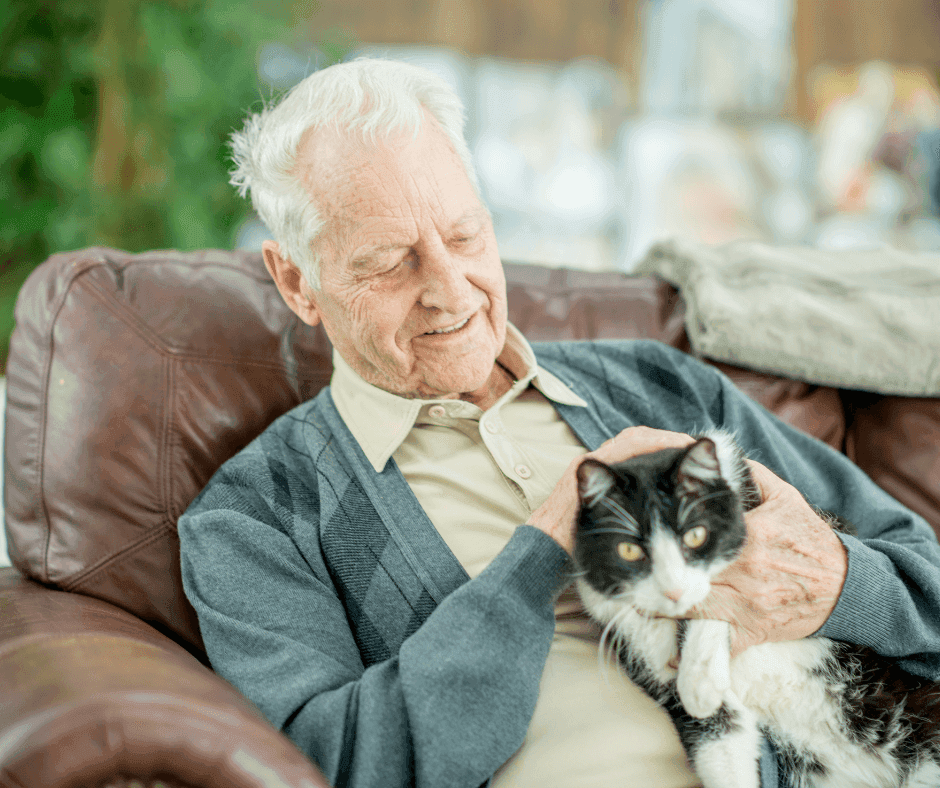 An elderly man with white hair sits on a brown leather couch, smiling and holding a black and white cat on his lap. - Home Instead