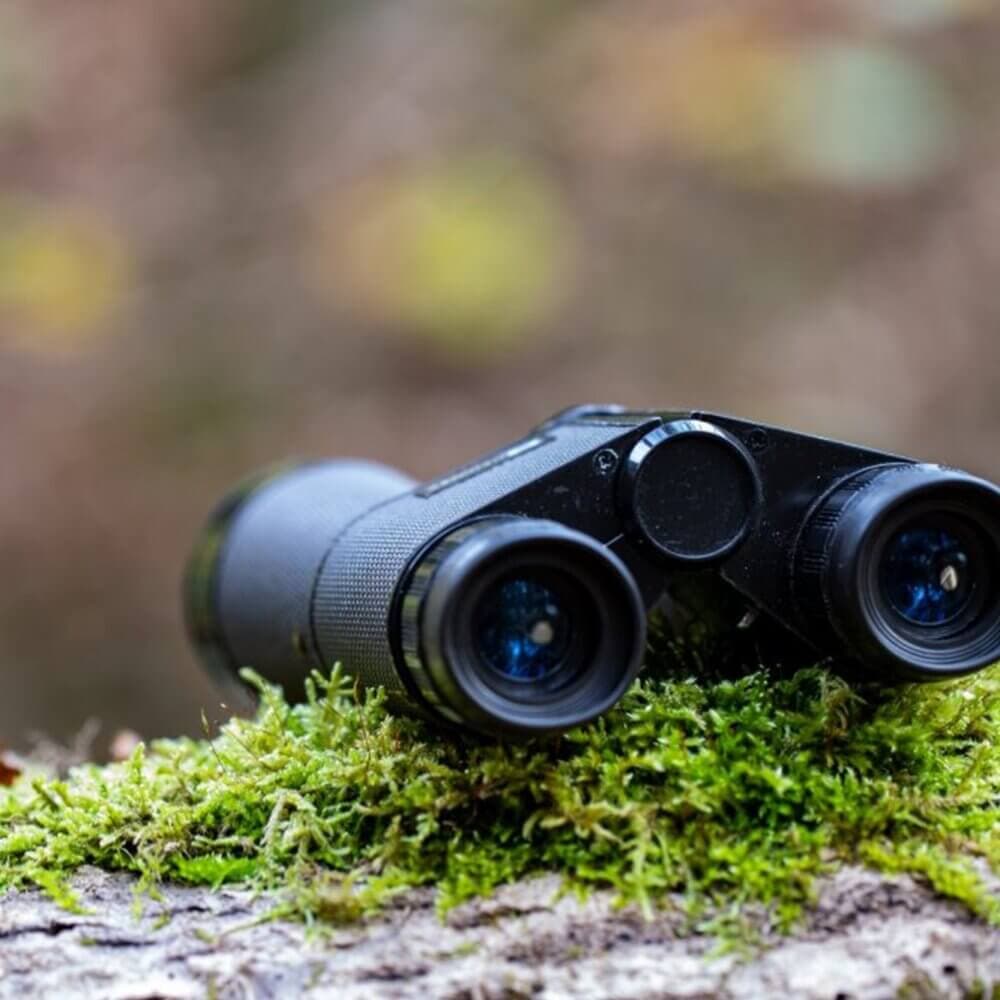 Black binoculars lying on a moss-covered surface with a blurred nature background. - Home Instead