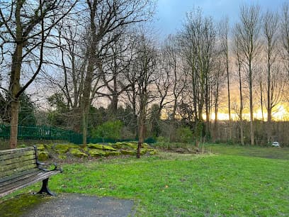 Park scene at sunset with bare trees, a wooden bench on the left, green grass, and a car visible in the distance. - Home Instead