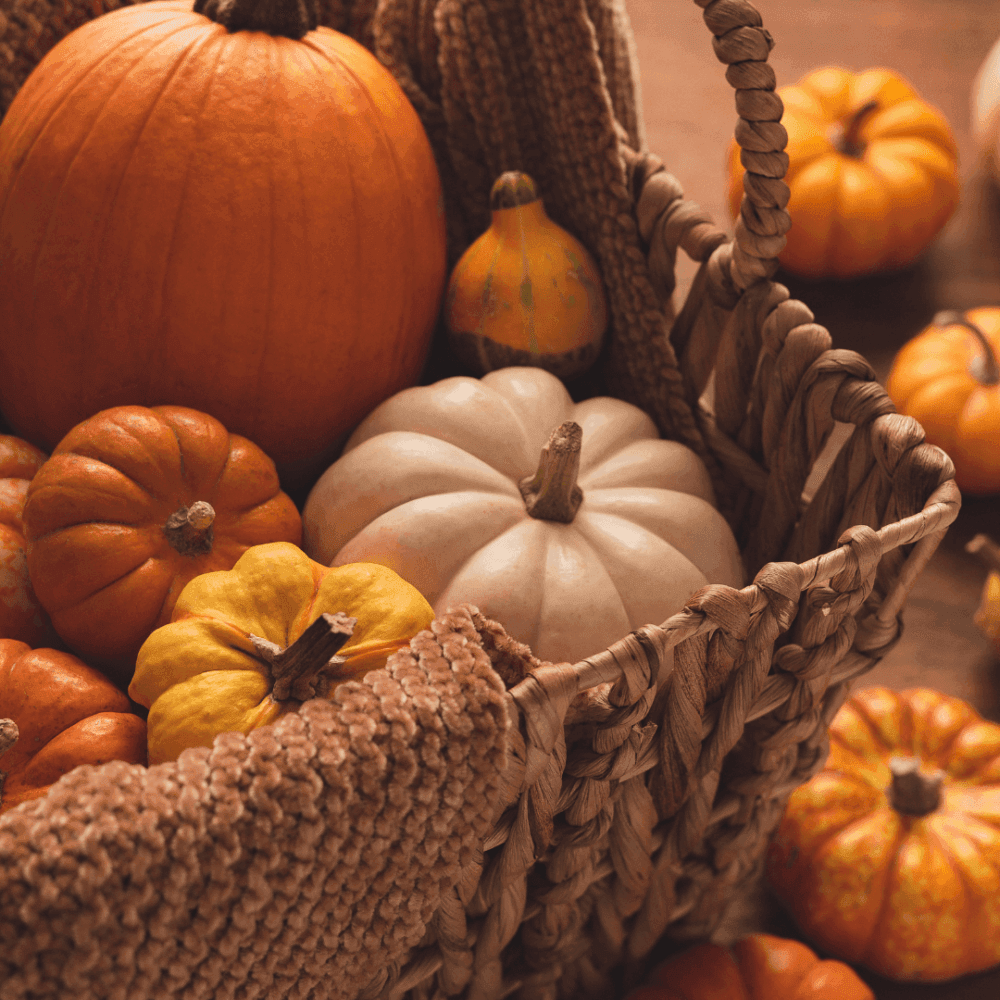 A woven basket filled with various pumpkins and gourds, including orange, white, and yellow varieties. - Home Instead