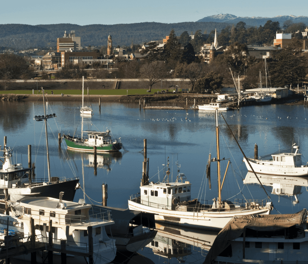 A harbor with various boats and yachts, a small town and hills in the background, under a clear sky. - Home Instead