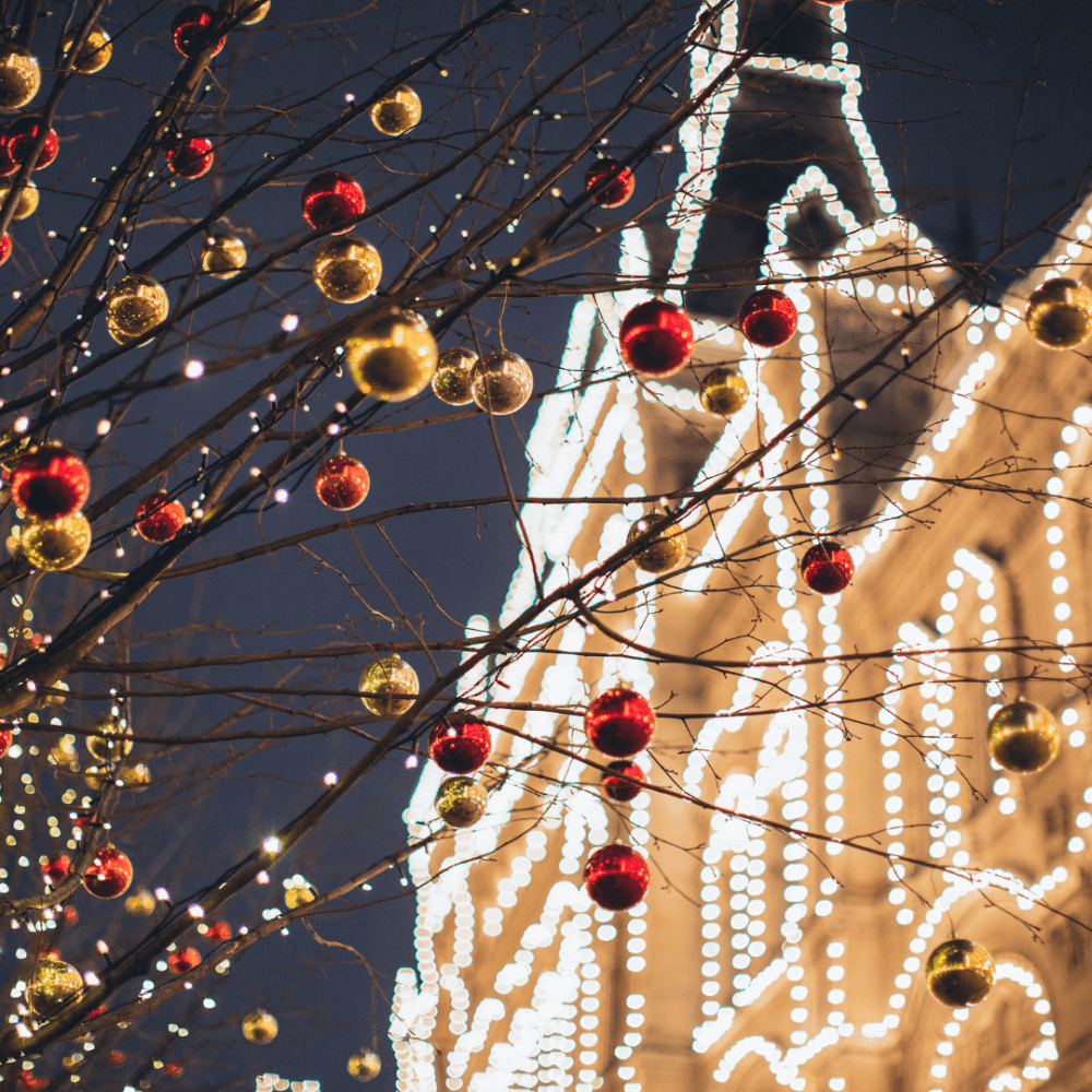 Red and gold ornaments hanging on a tree branch with a brightly lit building in the background at night. - Home Instead