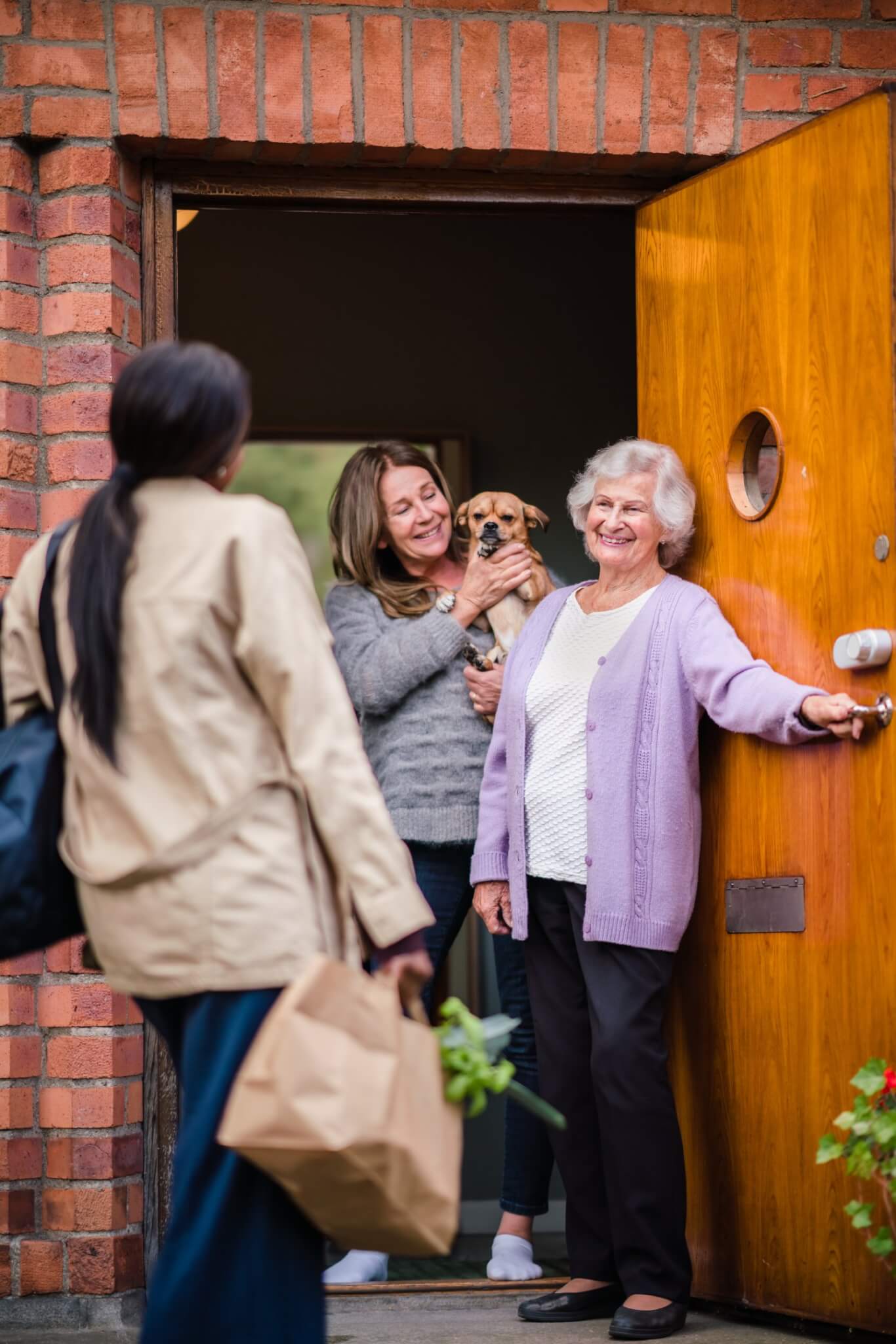 A Home Instead Southampton Care Professional with client living with Alzheimer's playing with dog